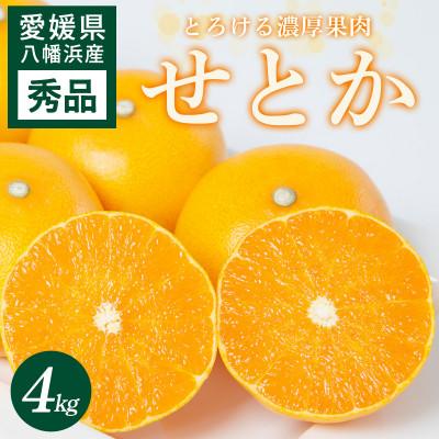 ふるさと納税 八幡浜市 せとか 4kg 愛媛県 八幡浜市 西宇和地区 とろける濃厚果肉 柑橘の女王[E25-326]