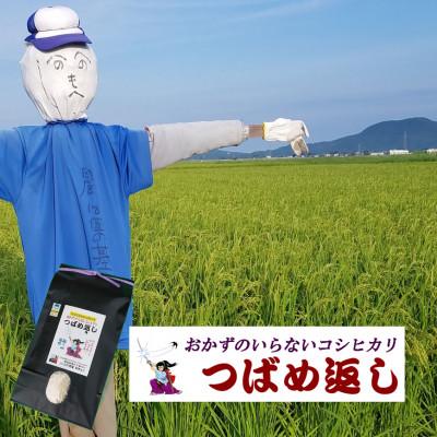 ふるさと納税 燕市 [8年産新米 先行予約]おかずのいらないコシヒカリ「つばめ返し」白米2kg