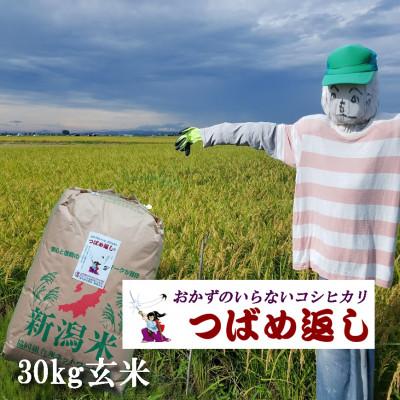 ふるさと納税 燕市 [8年産新米 先行予約]おかずのいらないコシヒカリ「つばめ返し」玄米 30kg 未検査米