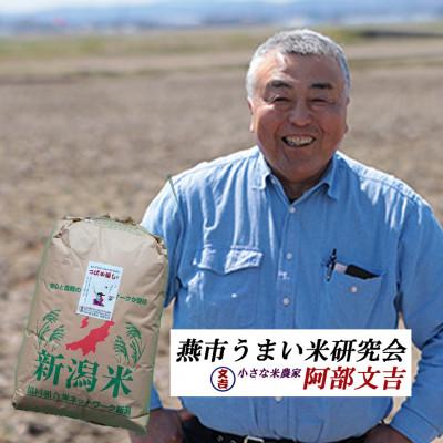 ふるさと納税 燕市 【8年産新米 先行予約】おかずのいらないコシヒカリ「つばめ返し」玄米 30kg 未検査米の画像