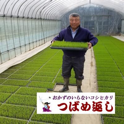 ふるさと納税 燕市 【8年産新米 先行予約】おかずのいらないコシヒカリ「つばめ返し」玄米 30kg 未検査米の画像