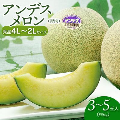 ふるさと納税 鶴岡市 [令和8年産先行予約] アンデスメロン 3玉〜5玉 約5kg 秀品 4L〜2L K-839