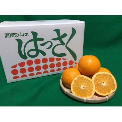 ふるさと納税 広川町 [まごころ手選別]和歌山県産はっさく 約10kg S〜Mサイズ[2027年1月中旬より順次発送]