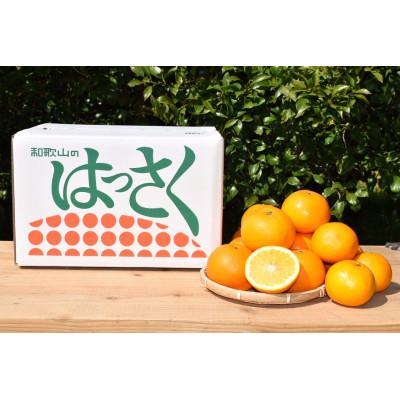 ふるさと納税 広川町 [2027年1月より順次発送][まごころ手選別]和歌山県産はっさく・10kg大玉(2L〜4L)