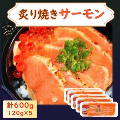 ふるさと納税 長浜市 炙り焼きサーモン 120g×5パック