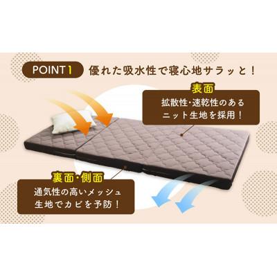 ふるさと納税 豊郷町 ぷちスリム セミシングル ブラウン12cm高反発マットレス[53820552] |  | 01
