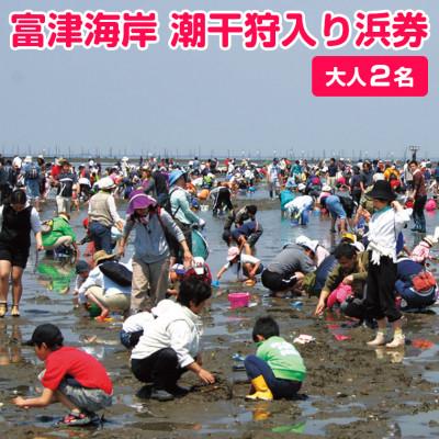 ふるさと納税 富津市 富津海岸 潮干狩入り浜券(大人2枚・網袋付) C-7z