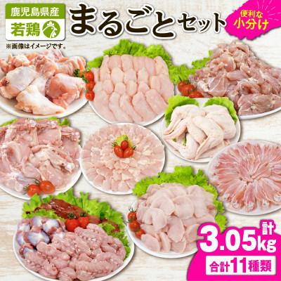 ふるさと納税 鹿屋市 若鶏まるごと3.05kgセット KN105-006(2649)(鹿屋