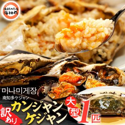 ふるさと納税 南知多町 訳あり カンジャンケジャン 大型(約350g以上) オス1匹