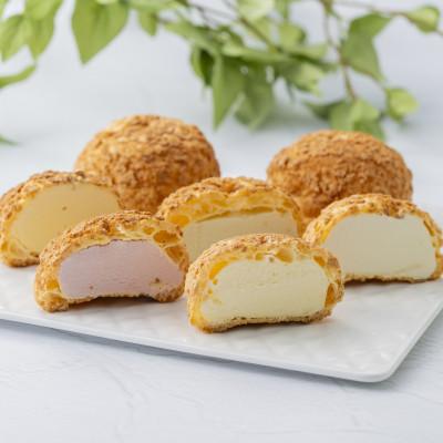 ふるさと納税 岡崎市 銀座プレミアムシューアイス9個入 PGS-506