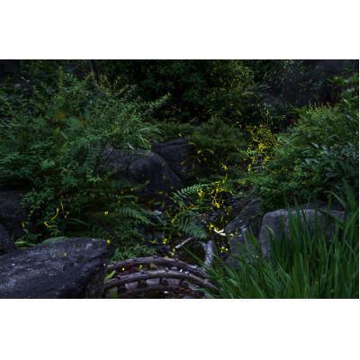 ふるさと納税 天理市 天理の風景5『 THE GARDEN OF DELIGHT 』2Lメタルグラフィックアート