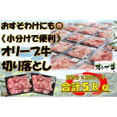 ふるさと納税 坂出市 [小分け]オリーブ牛 切り落とし5000g