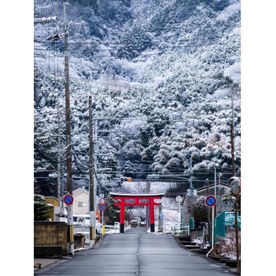 ふるさと納税 天理市 天理の風景6『 THE GATE 』A4メタルグラフィックアート