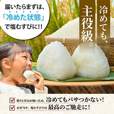ふるさと納税 亀岡市 【令和8年産】農家直送 京都丹波産 コシヒカリ