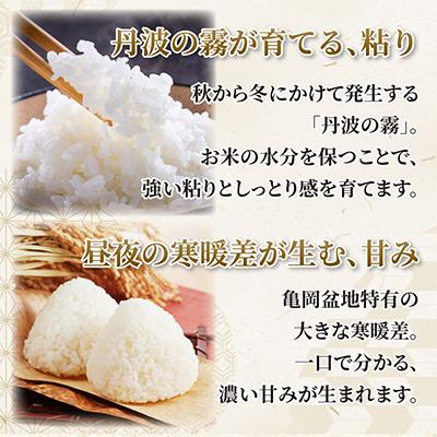 ふるさと納税 亀岡市 【令和8年産】農家直送 京都丹波産 コシヒカリ