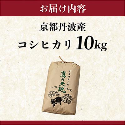 ふるさと納税 亀岡市 【令和8年産】農家直送 京都丹波産 コシヒカリ