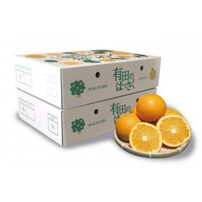 ふるさと納税 広川町 [まごころ手選別]和歌山産 八朔 化粧箱入り(12玉×2箱、L〜2Lサイズ)[2027年発送]