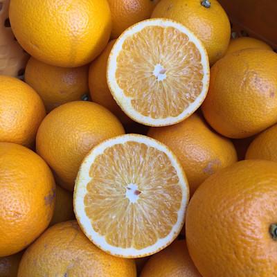 ふるさと納税 広川町 [まごころ手選別]和歌山県産 八朔 6kg (S〜4Lサイズ混合)家庭用[2027年発送]