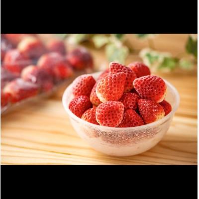 ふるさと納税 吉野ヶ里町 冷凍いちご(いちごさん)計1kg(吉野ヶ里町)