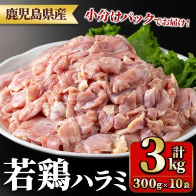 ふるさと納税 湧水町 鹿児島県産 若鶏ハラミ (300g×10袋・合計3kg) 小分け 真空パック(y538)(湧水町)