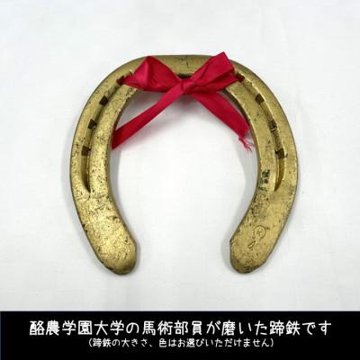 ふるさと納税 江別市 [酪農学園大学]馬術部の蹄鉄(ポストカード・キーホルダー付き)