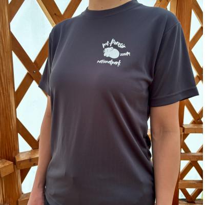 ふるさと納税 平取町 [日本百名山]幌尻岳記念Tシャツ(L)グレー