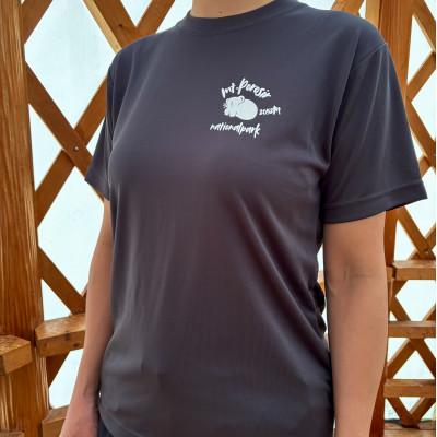 ふるさと納税 平取町 [日本百名山]幌尻岳記念Tシャツ(XL)グレー