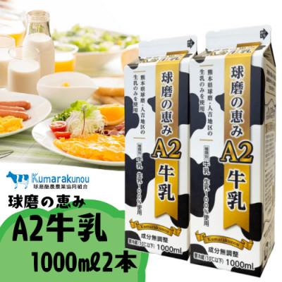 ふるさと納税 人吉市 人吉球磨産 球磨の恵みA2牛乳 1000ml×2本
