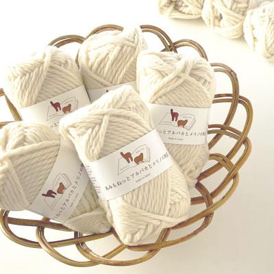 ふるさと納税 江南市 あみもねっと アルパカとメリノの物語 1番色 10玉セット