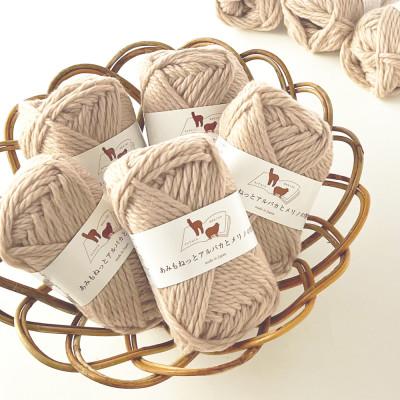 ふるさと納税 江南市 あみもねっと アルパカとメリノの物語 2番色 10玉セット