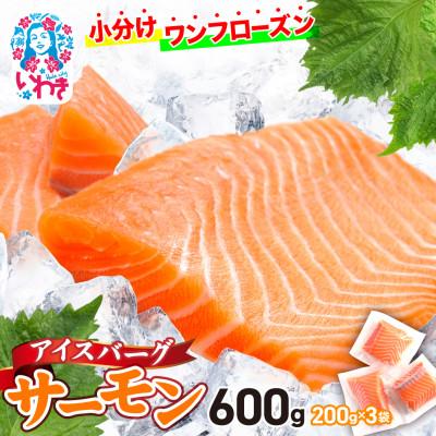 ふるさと納税 いわき市 アイスバーグサーモン|ワンフローズンの生サーモン(ノルウェー直送) 約200g×3パック