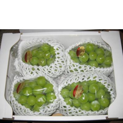 ふるさと納税 三豊市 [8月31日(夏休み)までの期間限定企画!!]シャインマスカット 約1.9kg