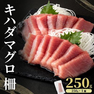 ふるさと納税 東洋町 キハダマグロ 柵 250g