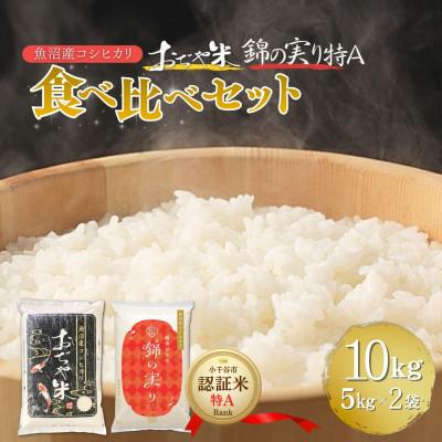 ふるさと納税 小千谷市 令和7年産 魚沼産コシヒカリ ブランド認証米「錦の実り」特Aランクとおぢや米 食べ比べ10kg 精米