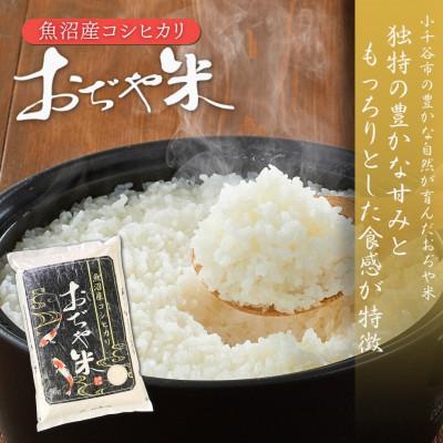ふるさと納税 小千谷市 令和7年産 魚沼産コシヒカリ 精米 食べ比べ10kg