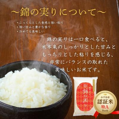 ふるさと納税 小千谷市 令和7年産 魚沼産コシヒカリ 精米 食べ比べ10kg