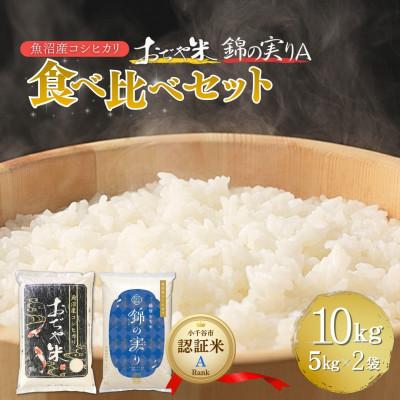 ふるさと納税 小千谷市 令和7年産 魚沼産コシヒカリ ブランド認証米「錦の実り」Aランクとおぢや米 食べ比べ10kg 精米
