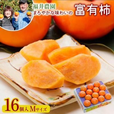 ふるさと納税 本巣市 福井農園の富有柿 Mサイズ(16個入) 贈答用 福井農園独自で栽培