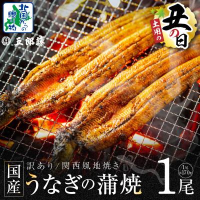 ふるさと納税 泉佐野市 丑の日! 訳あり 老舗「五郎藤」関西風地焼き 国産有頭旨鰻 170g前後×1尾 099H3440d