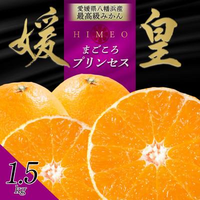 ふるさと納税 八幡浜市 [先行受付]最高級みかん媛皇 甘平×まどんな 愛媛果試48号 1.5kg[C25-339]