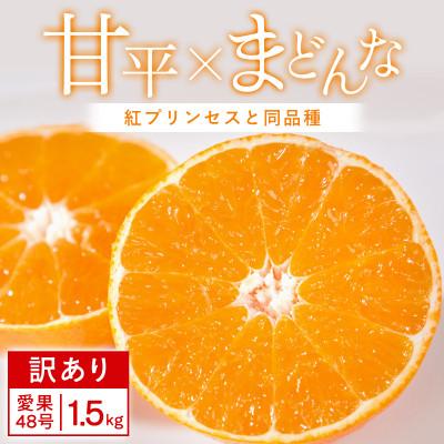 ふるさと納税 八幡浜市 [先行受付][訳あり]甘平×まどんな1.5kg 「紅プリンセス」と同品種[C25-376]