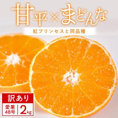 ふるさと納税 八幡浜市 [訳あり]甘平×まどんな 2kg 「紅プリンセス」と同品種 愛媛果試48 みかん[C25-354]