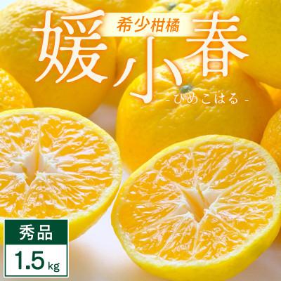 ふるさと納税 八幡浜市 [先行受付]媛小春 1.5kg 愛媛県 八幡浜市 西宇和地区 幻の柑橘[C25-357]