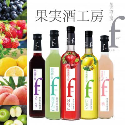 ふるさと納税 甲州市 シャトー勝沼 果実酒工房fruu 5本セット