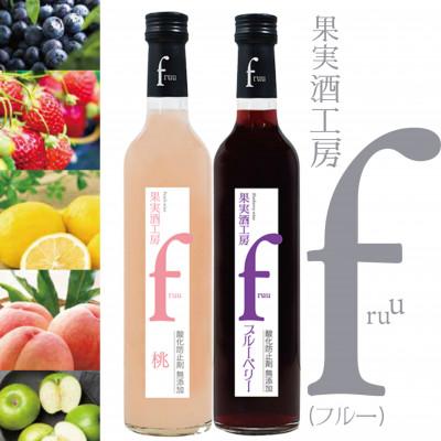 ふるさと納税 甲州市 シャトー勝沼 果実酒工房fruu 桃・ブルーベリー 2本セット