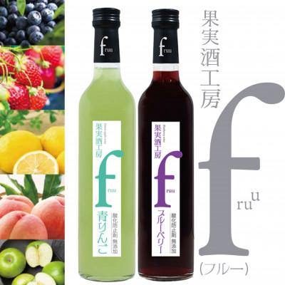 ふるさと納税 甲州市 シャトー勝沼 果実酒工房fruu 青りんご・ブルーベリー 2本セット