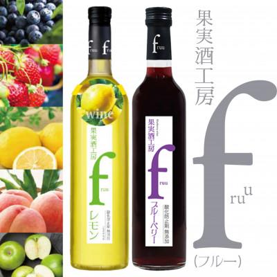 ふるさと納税 甲州市 シャトー勝沼 果実酒工房fruu レモン・ブルーベリー 2本セット