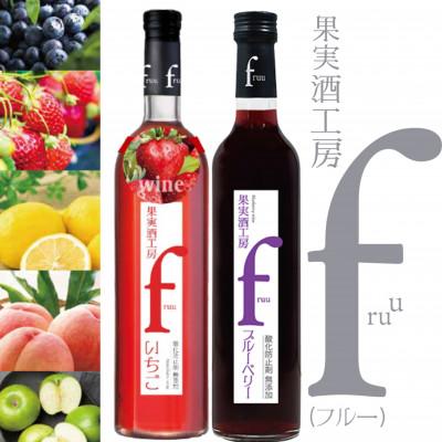 ふるさと納税 甲州市 シャトー勝沼 果実酒工房fruu いちご・ブルーベリー 2本セット