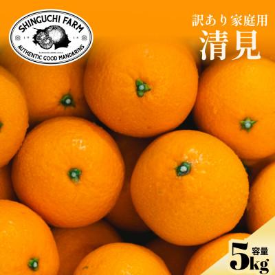 ふるさと納税 八幡浜市 [数量限定]2026年2月下旬より順次発送![訳あり]清見 5kg[C70-171]