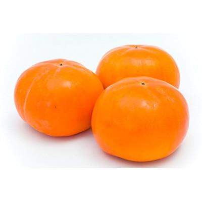 ふるさと納税 水俣市 熊本県水俣市産 太秋柿 約2kg入り(水俣市)